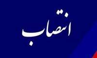 انتصاب مدیر توسعه فناوری سلامت 
