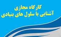 زمان برگزاری کارگاه مجازی "آشنایی با سلول های بنیادی" در دانشگاه علوم پزشکی گیلان اعلام شد