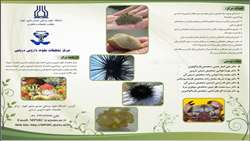  معرفی مرکز تحقیقات علوم داروئی دریایی دانشگاه جندی شاپور اهواز 