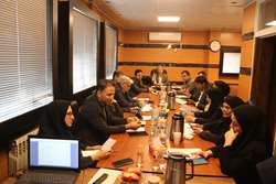   هفدهمین جلسه شورای پـژوهشی دانشگاه برگزار شد