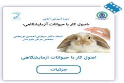 برگزاری دوره آموزشی آنلاین 