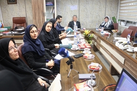  برگزاری  چهارمین نشست خبری ارائه نتایج طرح های تحقیقاتی دانشگاه در سالجاری